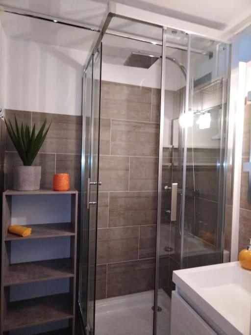 Appartement Dans Une Residence Calme Saint-Lary-Soulan Dış mekan fotoğraf